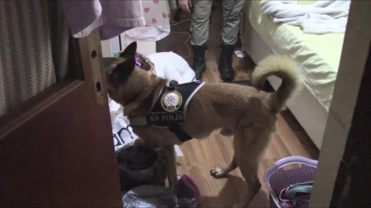 İstanbul’da DHKP/C operasyonu