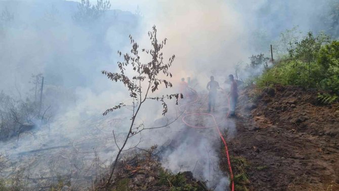 Ormanlık alanda çıkan yangına ekipler müdahale etti