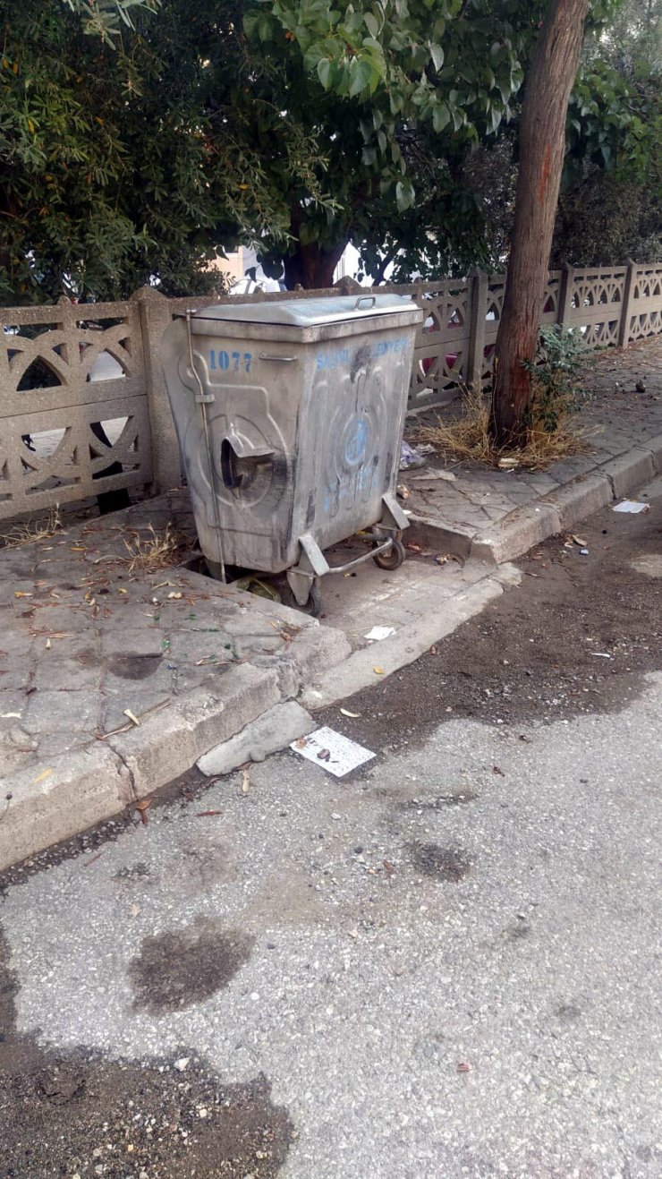 Çöp konteynerinde bebek cesedi bulundu