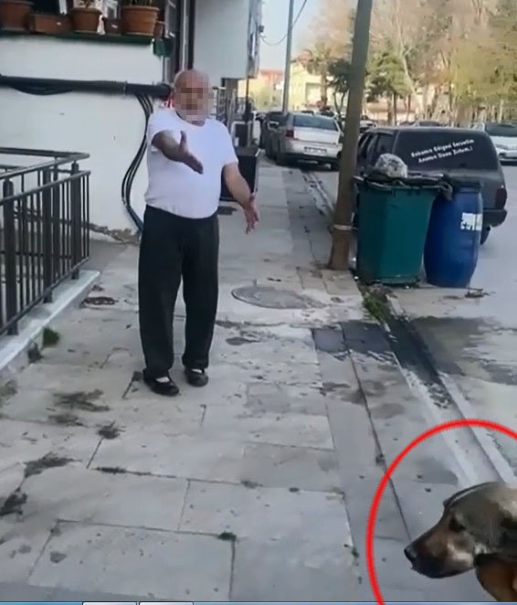 Daha önce tehdit ettiği komşunun köpeğini tüfekle öldürdü