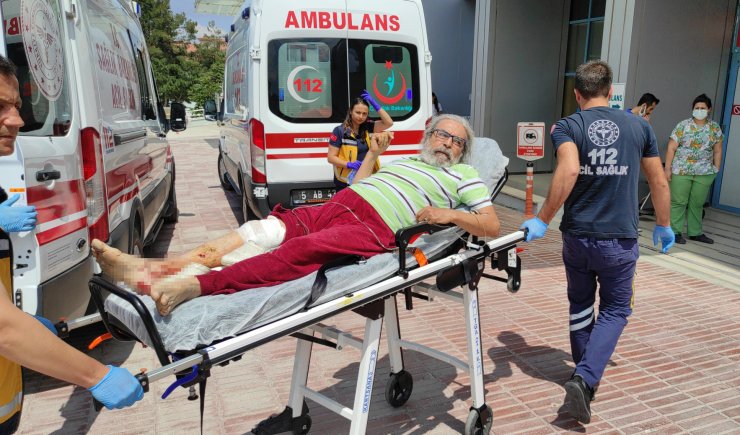 Komşusunun köpeği saldırdı, 20 dikiş atıldı