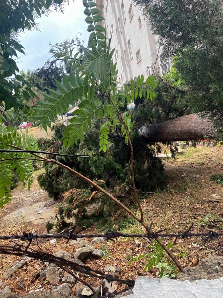 Manisa'da sağanak ve fırtına günlük yaşamı olumsuz etkiledi
