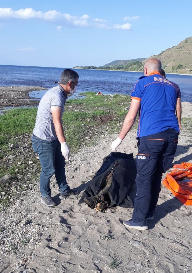 Van Gölü’nde bulunan cesedin kimliği belli oldu
