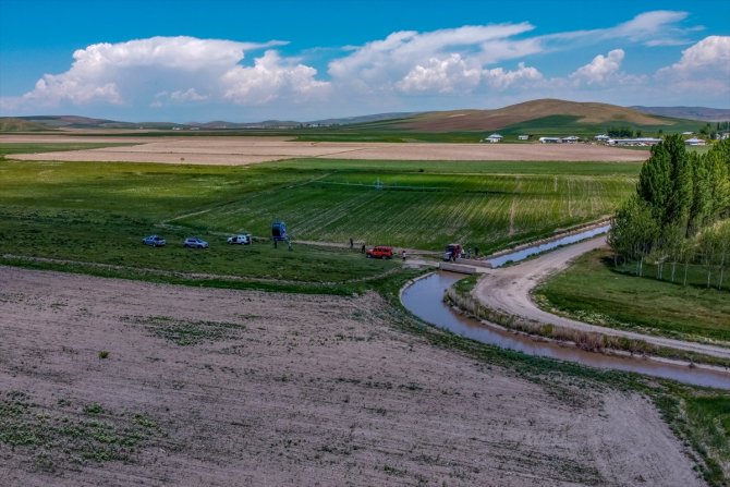 Buğdayda 85 bin ton rekolte bekleniyor