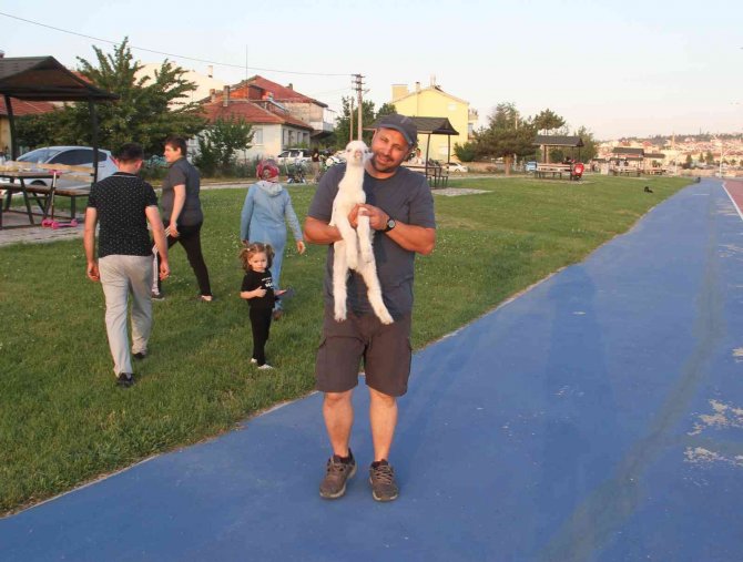 Arkadaşına 'Pamuk’ gibi bakıyor