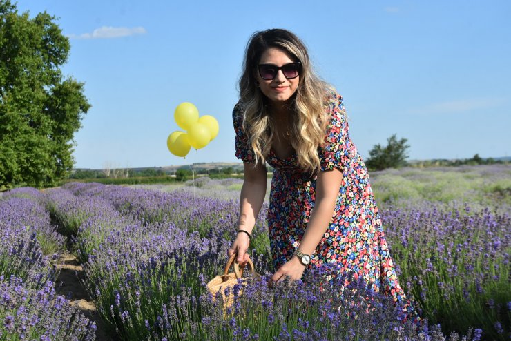 Edirne'de lavanta günleri başladı