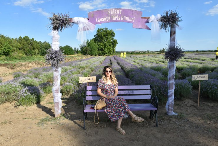 Edirne'de lavanta günleri başladı