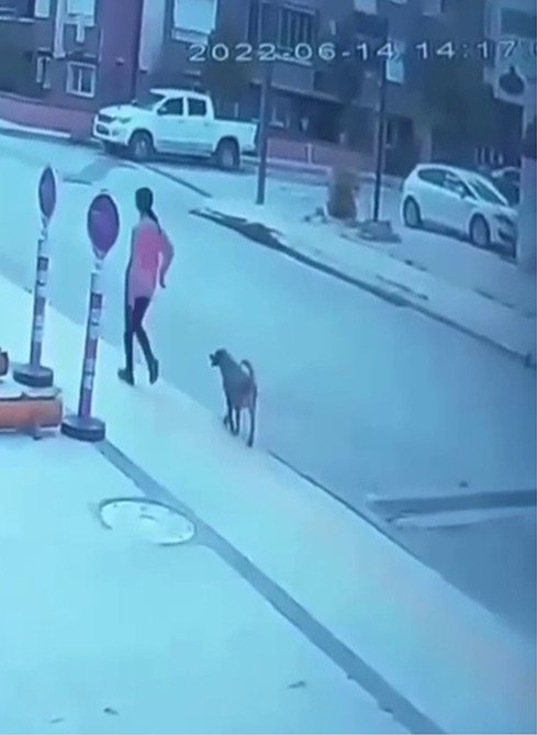 Genç kızın son görüntüleri