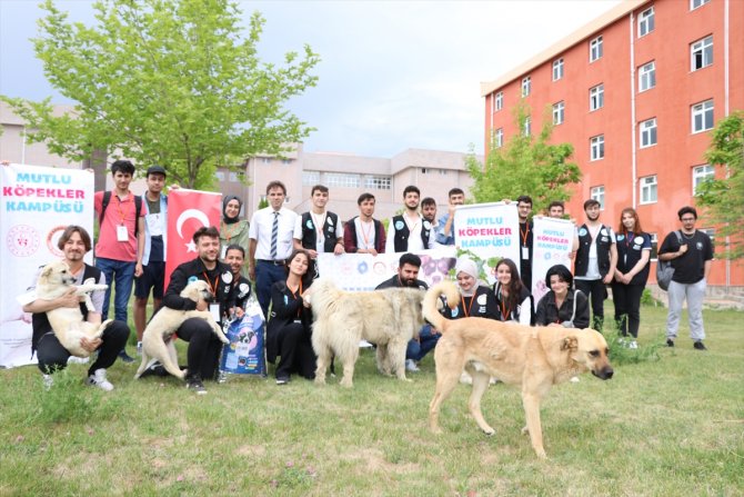 "Mutlu Köpekler Kampüsü" ile sahipsiz hayvanlar yuvaya kavuştu