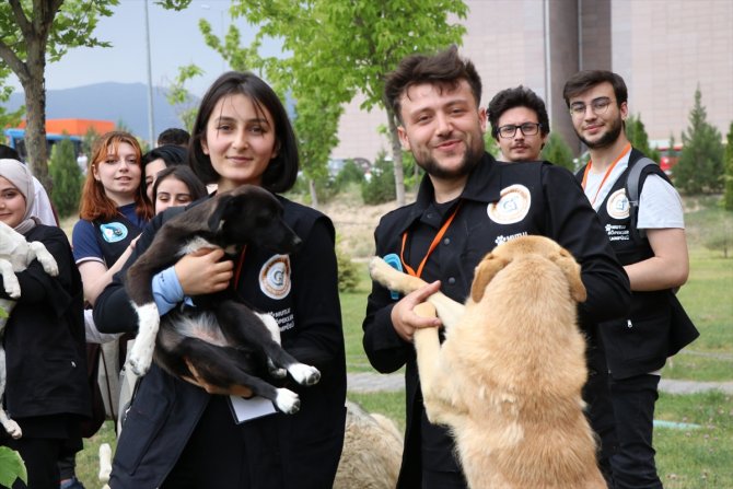 "Mutlu Köpekler Kampüsü" ile sahipsiz hayvanlar yuvaya kavuştu