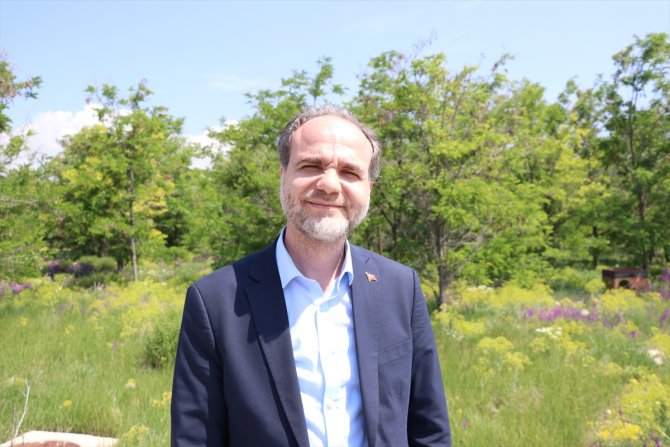 "Mutlu Köpekler Kampüsü" ile sahipsiz hayvanlar yuvaya kavuştu