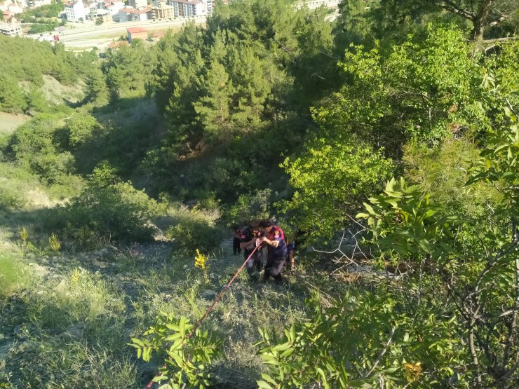 Dengesini kaybedip düştüğü uçurumdan AFAD ekipleri kurtardı