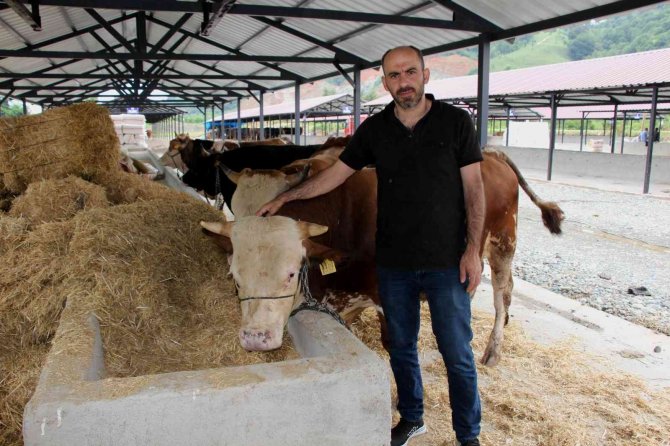 Kurbanlıklarda bu yıl pazarlıklar kızışacak