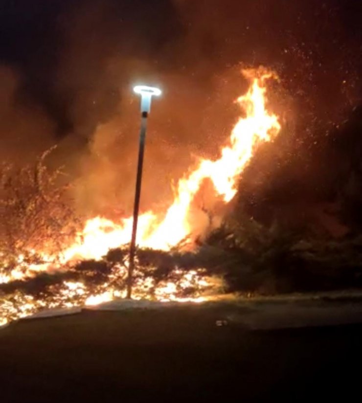 Parkta çıkan yangın, paniğe neden oldu