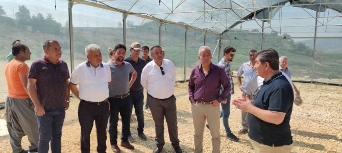 Üreticiye "Bağa bak üzüm olsun, yemeye yüzün olsun" eğitimi