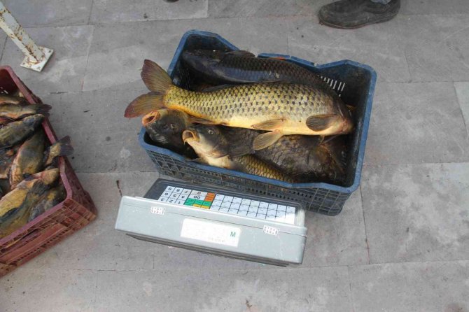 Beyşehir Gölü’nde su ürünleri av yasağı sona erdi