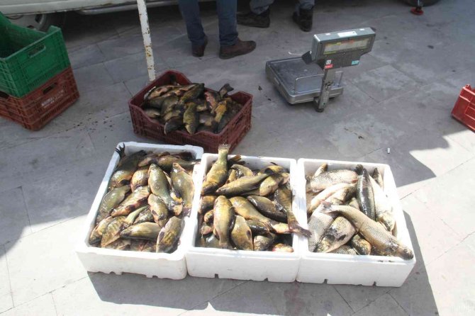 Beyşehir Gölü’nde su ürünleri av yasağı sona erdi