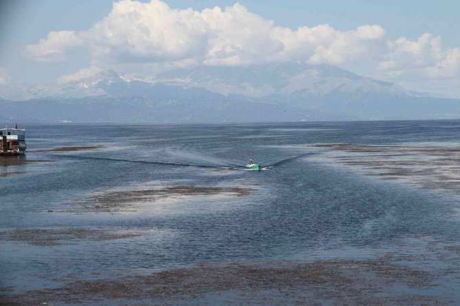 Beyşehir Gölü’nde su ürünleri av yasağı sona erdi