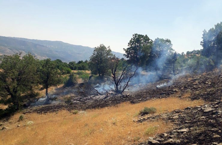 Bingöl'de çıkan orman yangını söndürüldü