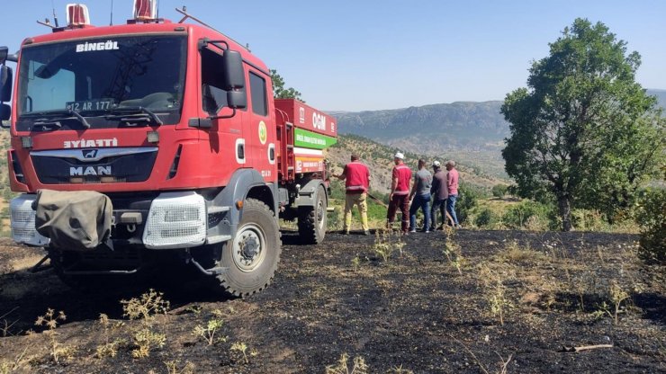 Bingöl'de çıkan orman yangını söndürüldü