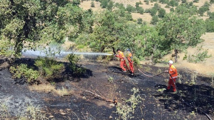 Bingöl'de çıkan orman yangını söndürüldü