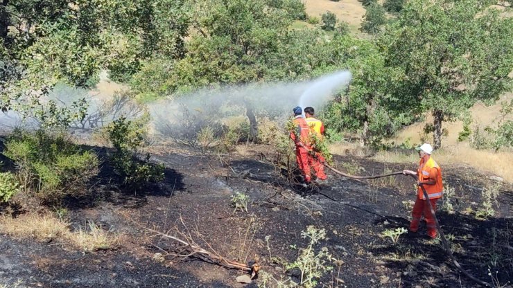 Bingöl'de çıkan orman yangını söndürüldü