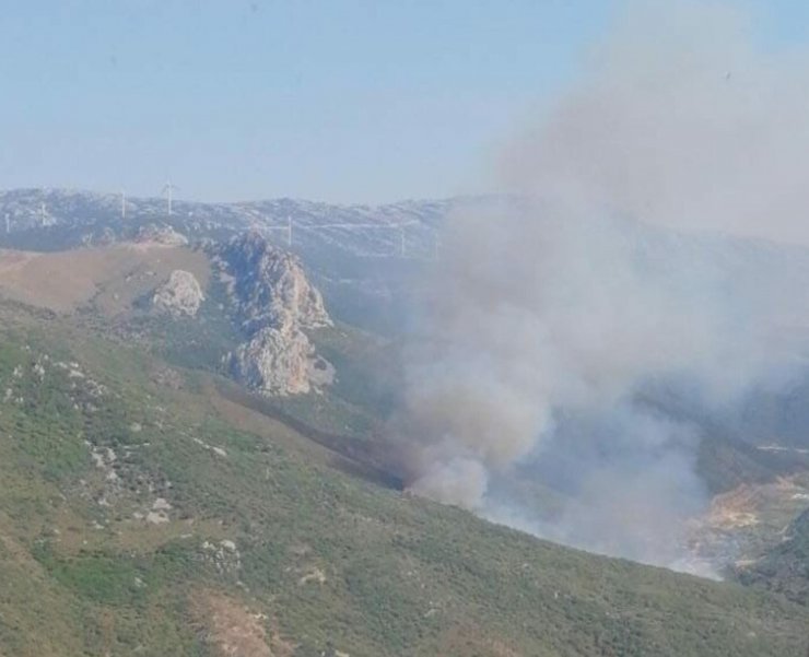 İzmir'de ikinci orman yangını