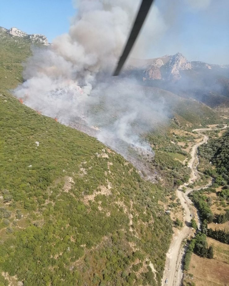 İzmir'de ikinci orman yangını