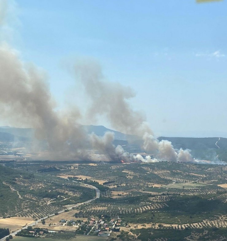 İzmir'de orman yangını