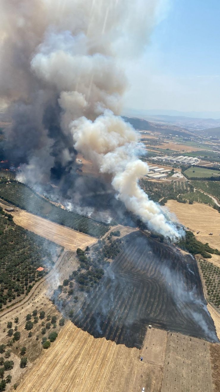 İzmir'de orman yangını
