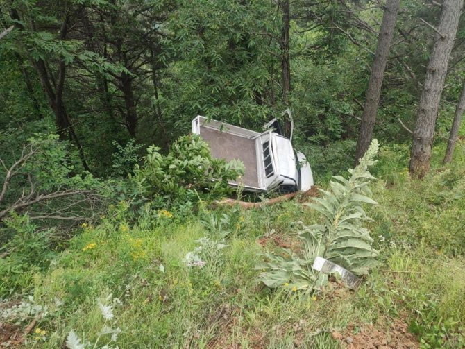 Kamyonet şarampole yuvarlandı