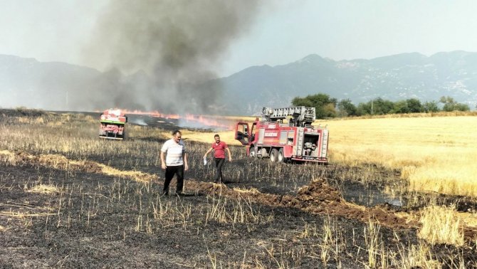 Osmaniye’de 10 dönüm buğday tarlası yandı