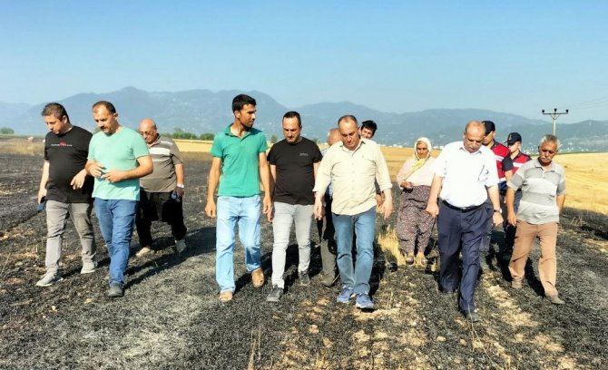 Osmaniye’de 10 dönüm buğday tarlası yandı