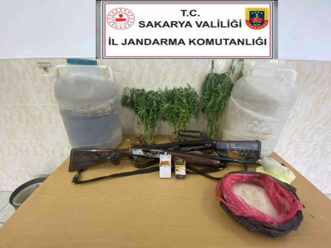 Sakarya’da yasadışı kenevir operasyonu: 1 gözaltı