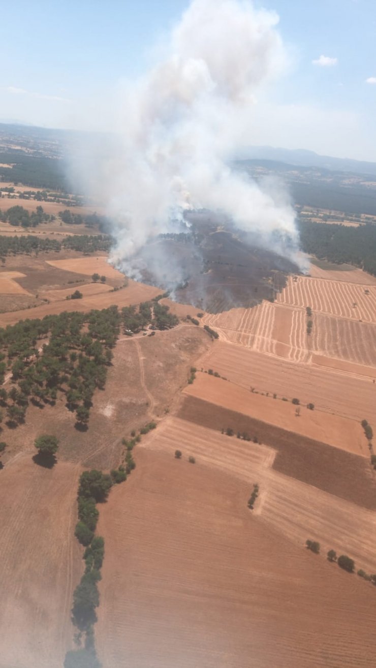 Çanakkale'de tarladaki yangın ormana sıçradı