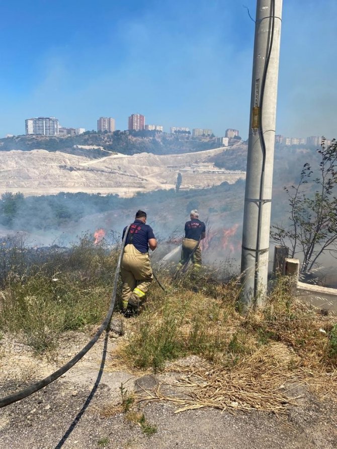Çıkan yangında 4 dönüm arazi küle döndü