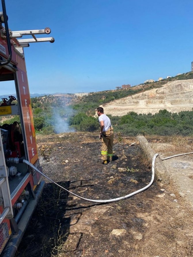 Çıkan yangında 4 dönüm arazi küle döndü