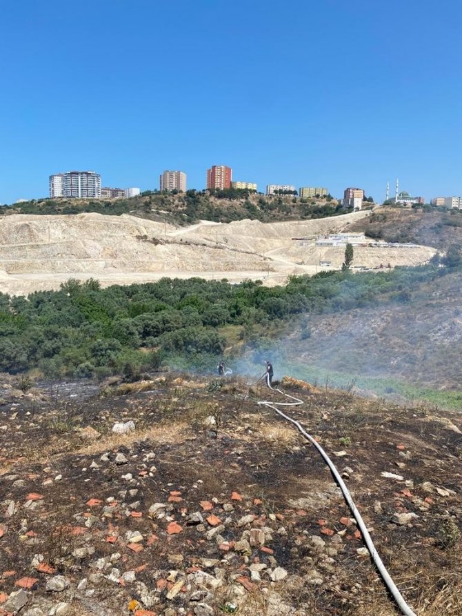 Çıkan yangında 4 dönüm arazi küle döndü