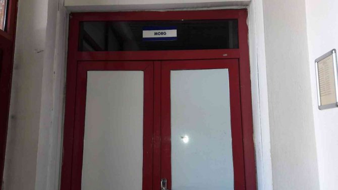 Ihlamur ağacından düşen adam hayatını kaybetti