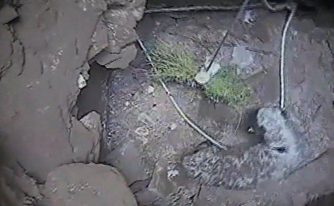 Konya'da definecilerin kazdığı 21 metrelik kuyuya kuzu düştü