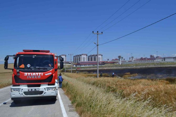 Sigara izmariti 50 dönüm buğdayı 10 dakikada küle çevirdi
