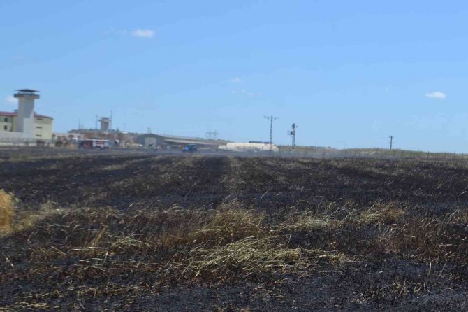 Sigara izmariti 50 dönüm buğdayı 10 dakikada küle çevirdi