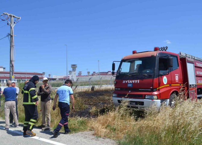 Sigara izmariti 50 dönüm buğdayı 10 dakikada küle çevirdi