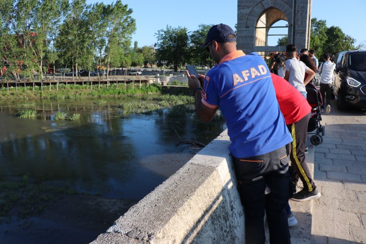 Tunca Nehri'nde mahsur kalan yavru kedi için AFAD seferber oldu