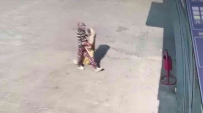 At arabalı hırsızların rahatlığı 'Pes' dedirtti