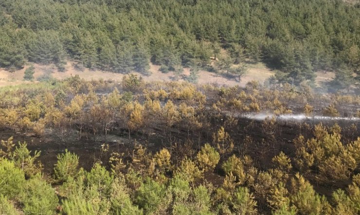 Gaziantep’te orman yangını;3 hektar alan zarar gördü