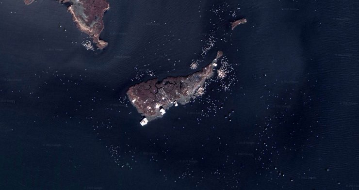 Google Earth'ten flamingo gözlemi 