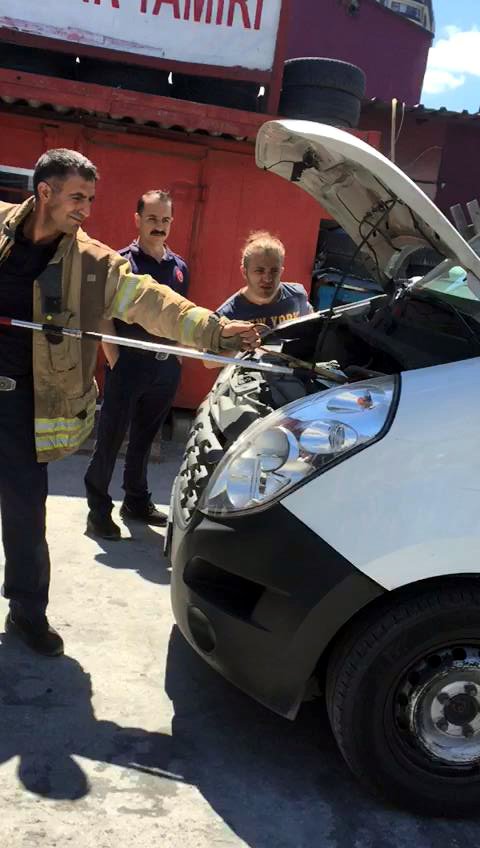 Kedi ve yılan çıkarma operasyonu