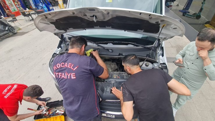 Motora giren yavru kedi, 2 saatte çıkarılabildi