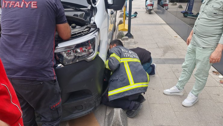 Motora giren yavru kedi, 2 saatte çıkarılabildi